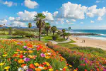 Explore Carlsbad: Your Ultimate Local Community Guide
